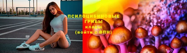 метамфетамин Дмитриев
