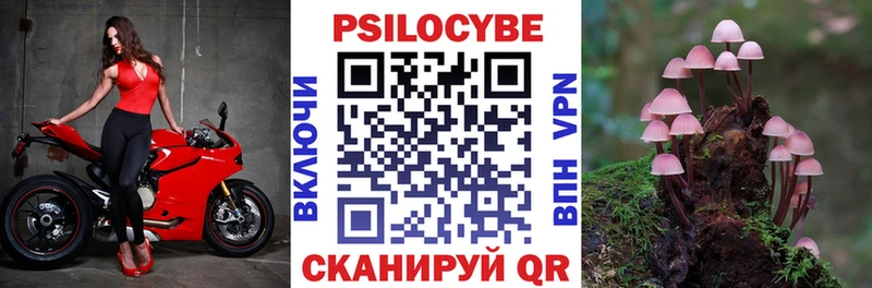 Купить  Тамбов  Псилоцибиновые грибы ЛСД 